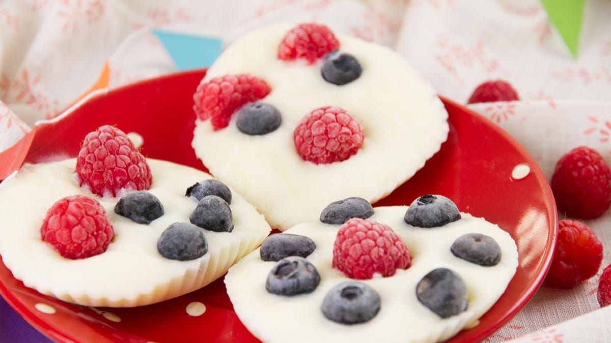 Hansis und Bibis Frozen Joghurt