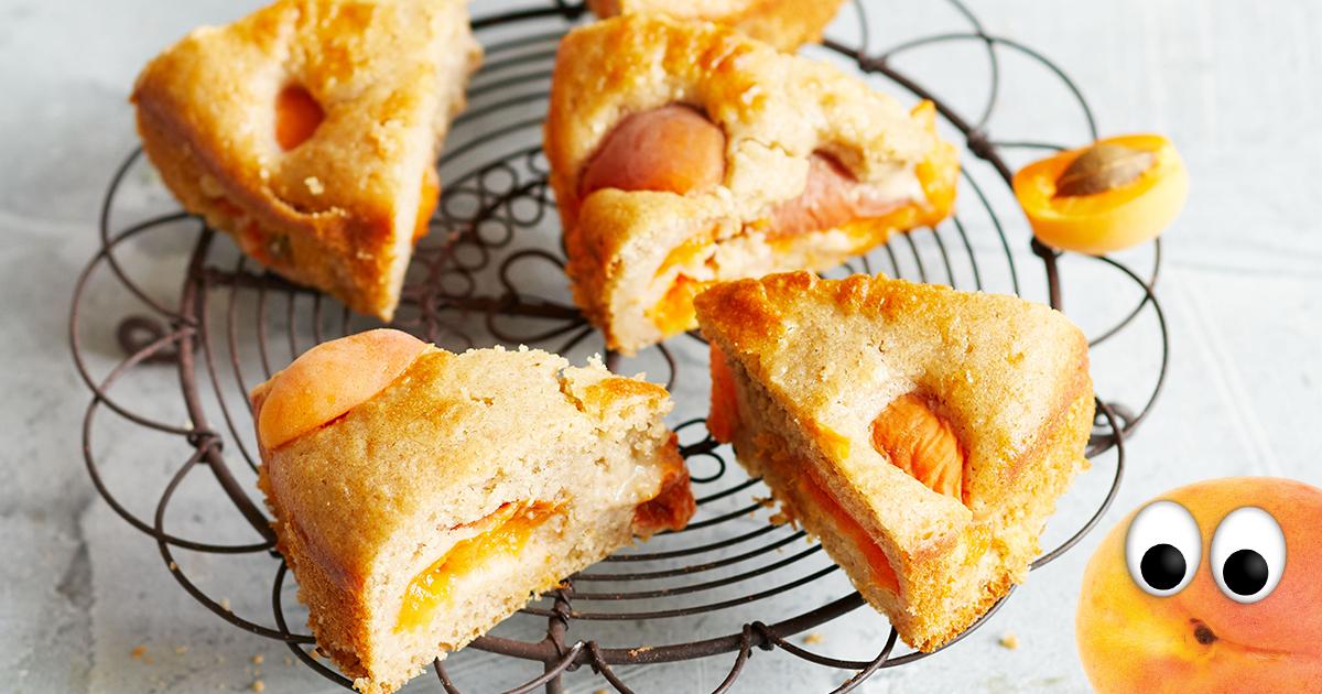 Antons Aprikosenkuchen Rezept