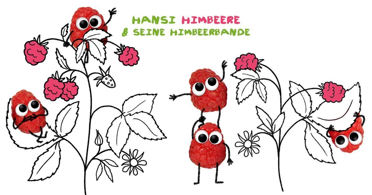 Hansi Himbeere von Freche Freunde
