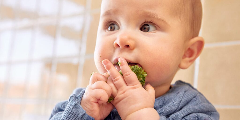 Freche Freunde BLW und Brei