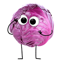 Frecher Freund Roland Rotkohl