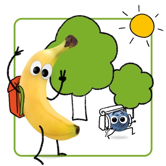 ategorie-Snacks für unterwegs