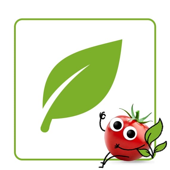 Kategorie-vegane Snacks