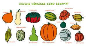 Freche Freunde - Ernährung - essbare Kürbisse - Übersicht